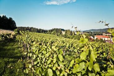 فندق صغير Gasthof Mauthner Zum Kirchenwirt