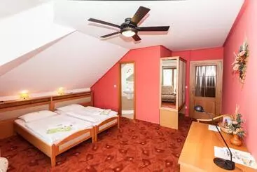 Pensão Depandance Hotel U Crlíků