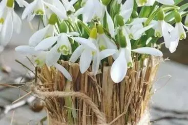 Pensiune Sadyba Domashniy Zatyshok