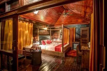 Wild Planet Jungle Resort