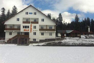 Pension (Hôtel basse catégorie) Vila Sport Borsec