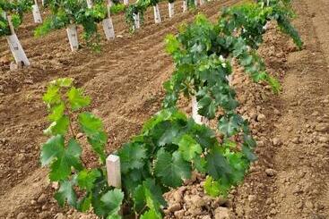 مبيت وإفطار Chambre D Elisabeth à La Ferme