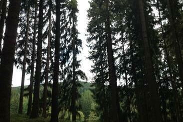 Bed and Breakfast Pension U Jelinka