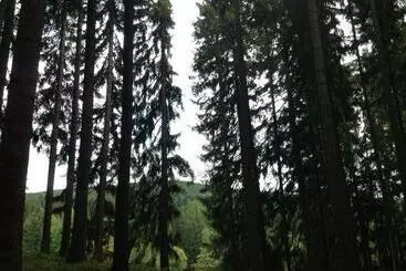 Aamiaismajoitus (B&B) Pension U Jelinka