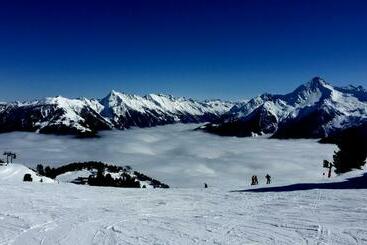 בית מלון כפרי Gasthof Thanner