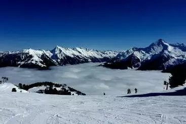 Hotel Gasthof Thanner