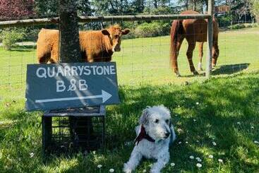 Quarrystone House B&b