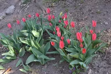 Majatalo Vár Lak Vendégház