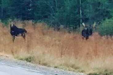 Spillover Motel And Inn