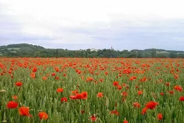 Bed and Breakfast Le Moulin Des Marionnettes