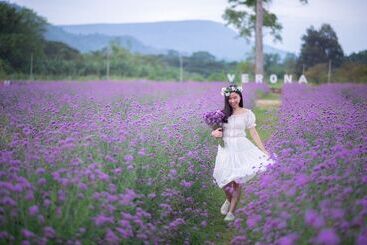 فندق Verona Boutique