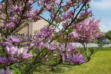 Majatalo Il Etait Une Ferme