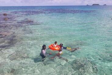 هاستل Posada Miss Portia