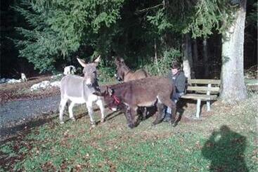 Bed And Breakfast Huobschür