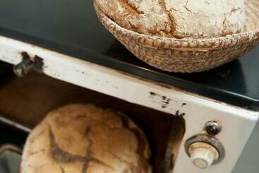 فندق Weingut Schauer