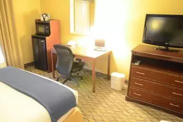 Holiday Inn Express Hotel & Suites Houston Downtown Convention Center, An Ihg