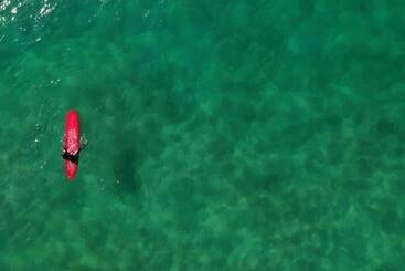 The Yogi Surfer   Hostel