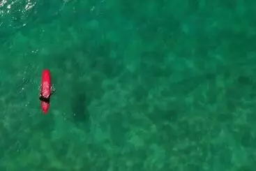 The Yogi Surfer   Hostel