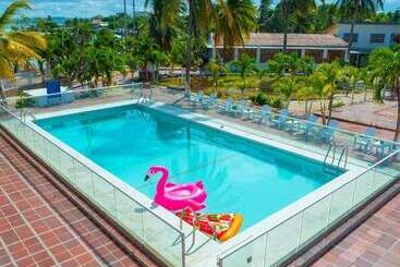 ホテル Dorado Plaza Punta Arena