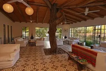 Hotel Rural Finca Adalgisa Wine