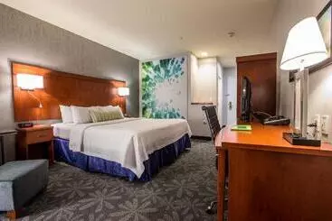 בית מלון כפרי Courtyard By Marriott St. John S Newfoundland