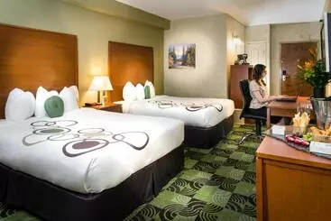 בית מלון כפרי Deerfoot Inn And Casino