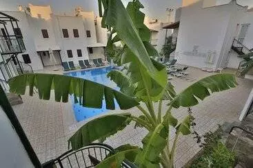 酒店 Green House Apart