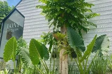 The Jungle Hostel Canggu