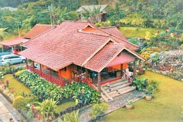 Hotel Villa Honey Robert