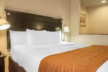 酒店 Comfort Inn & Suites Laguardia Airport