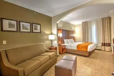 酒店 Comfort Suites Tomball Medical Center