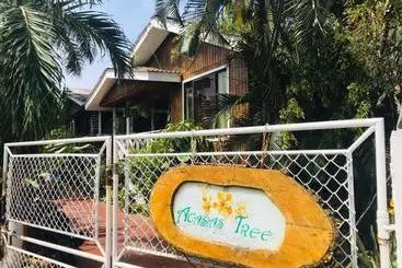 Majatalo Villa Acacias Tree