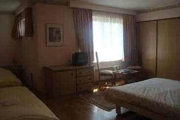 酒店 Hôtel Restaurant N 4