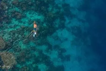 Hotel Ostrov Palm Villa