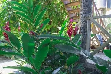 Hotel Posadas Ecoturisticas Seineken