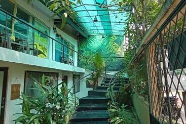 ペンション Amazonas Explorers Leticia