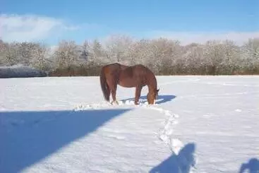 Aamiaismajoitus (B&B) Priors Oak   A Cosy Studio With Countryside Views In Dorset
