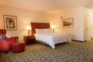 Hotel Hilton Garden Inn Myrtle Beach/coastal Grand Mall