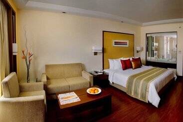 Hotel Park Inn Gurgaon