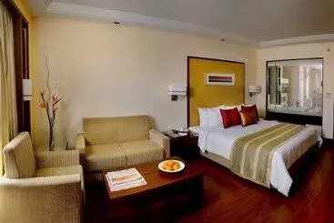 בית מלון כפרי Park Inn Gurgaon