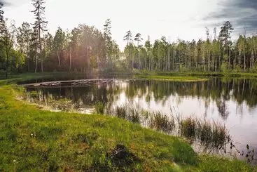 Green Park Hotel Airport Minsk