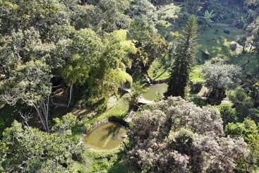 Pension Drapa Resort