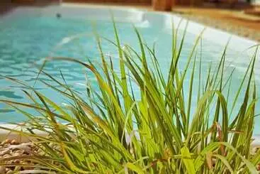 בית מלון כפרי Restaurant Und Pension Zur Puppenstube