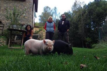 Отель Els Torrents