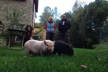 ホテル Els Torrents