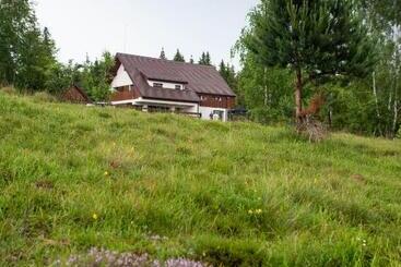 ホテル Pensiunea Agroturistică Drag De Apuseni