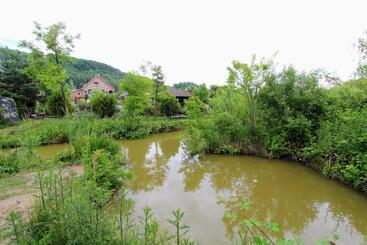 住宿加早餐  фазенда змерега