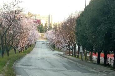 Pension (Hôtel basse catégorie) Casa Stella San Sisto