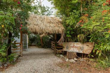 پانسیون La Sana Surf Hotel   New Management