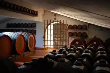 ペンション Pidkova